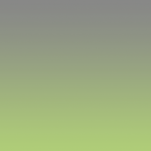 Image hover effect image