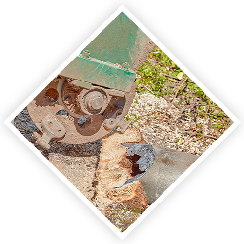 J.A.Y Tree Services - Home